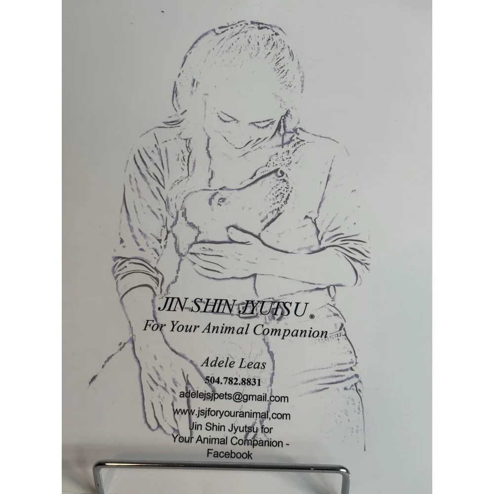 JIN SHIN JYUTSU FOR YOUR ANIMAL COMPANION BY Adele Leas SPIRAL_BOUND